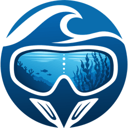 BlueVision